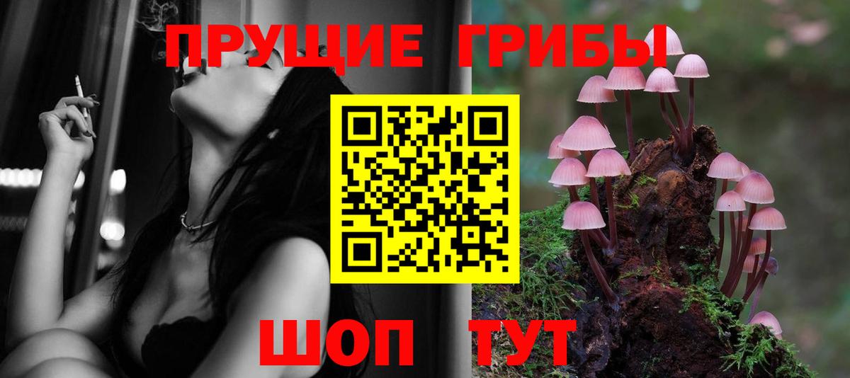 Псилоцибиновые грибы Cubensis Ессентуки