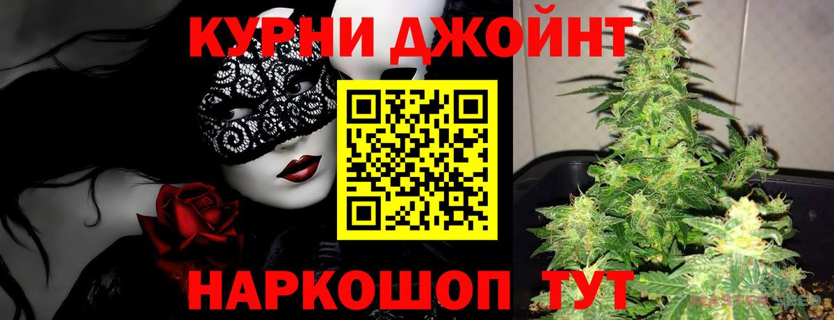 Каннабис планчик  Вход с VPN  Ессентуки  Бошки марихуана индика  Марихуана Ganja 